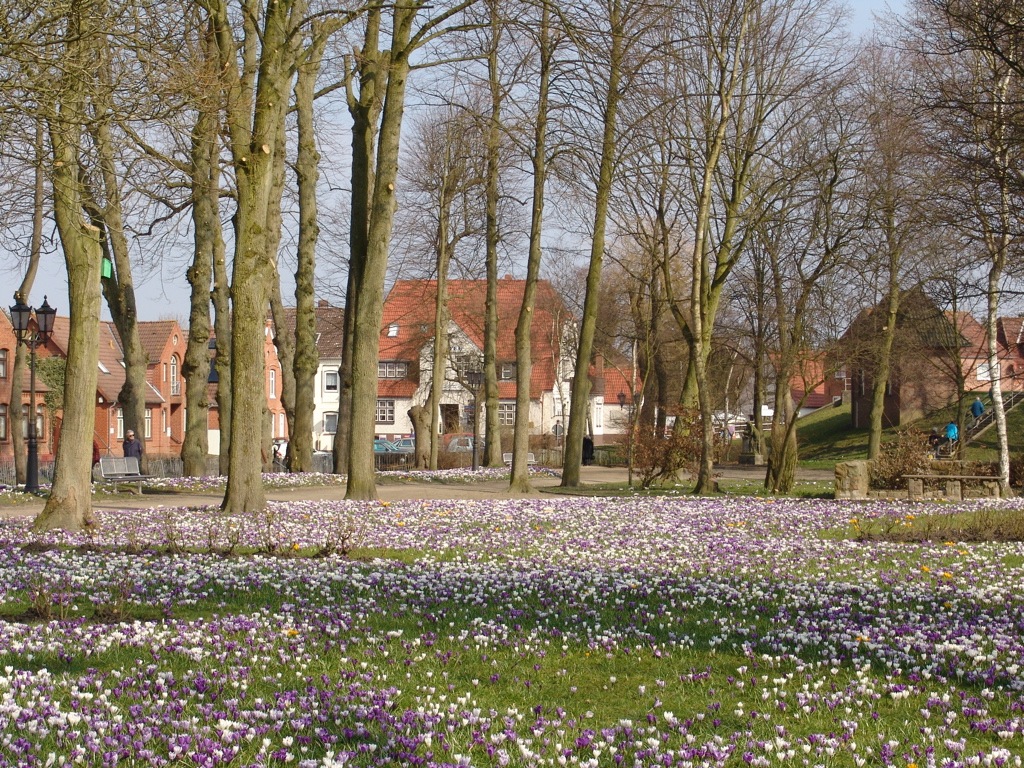 Tönning (13)