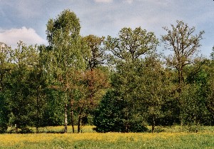 Schatztruhe